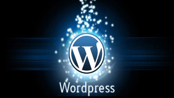 wordpress web designer